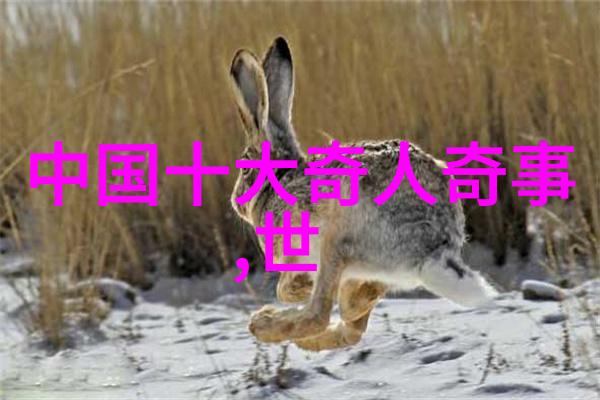 奶子排球一种让人心动的运动