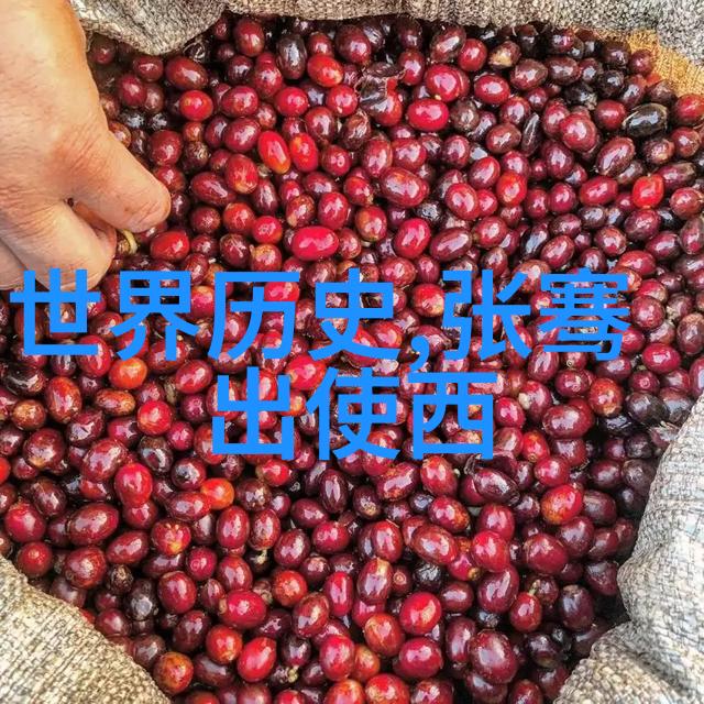 亚历山大的战略谋略历史上的最伟大征服者之一