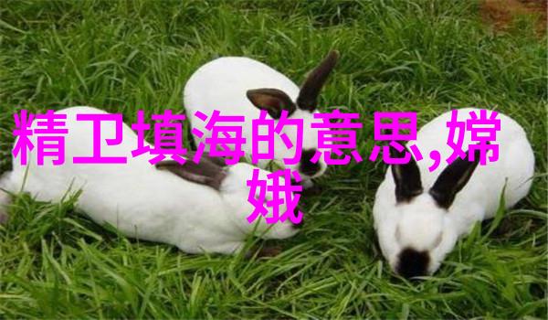 探秘古埃及金字塔背后的谜团