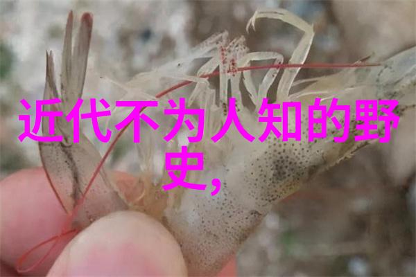 主题我亲眼见到漂亮妈妈的中文字幕完整高清视频