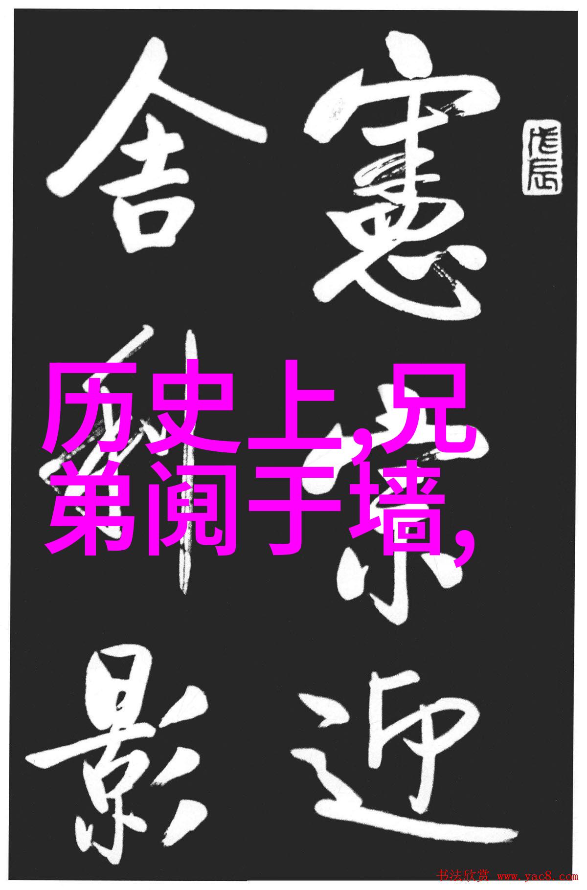 清朝老照片揭秘公主与格格的荣耀差异