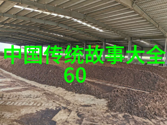 数字文化天津区号背后的故事与象征意义