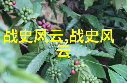 名人的秘密花园野史趣闻中的影子舞
