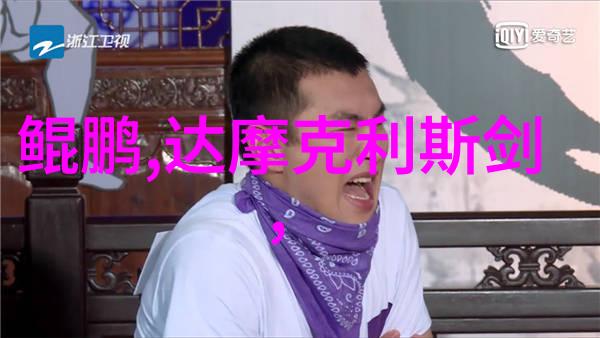 黄梅戏吴琼韩再芬旦行演员之光