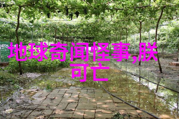 赵俊峰书法名家有哪些人他是不是排山倒海的大家