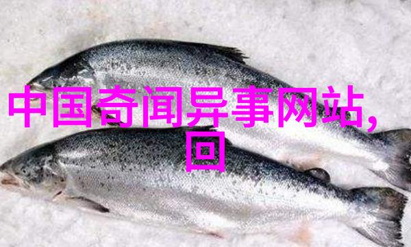 皇家游艺中的真实面目揭开多尓腚与其母后之秘密交往史料考证