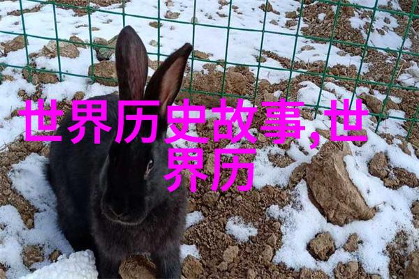 隐秘档案揭秘古代帝王的荒诞宴会