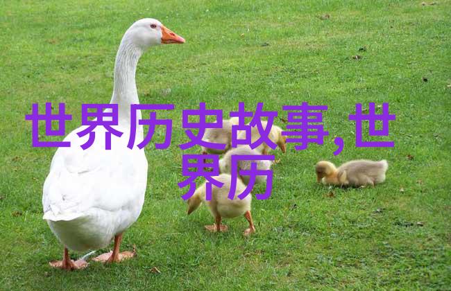 明末农民起义的真相倭寇与天地会的秘密同盟
