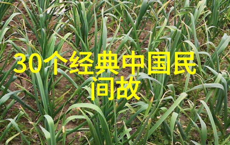 关羽的故事李昶虎穴之中求生存