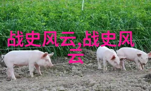 夜行书肆揭秘暗渡郑二免费阅读的神秘世界