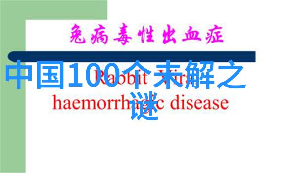 世界历史故事我和一段古老的帝国的崛起与衰落