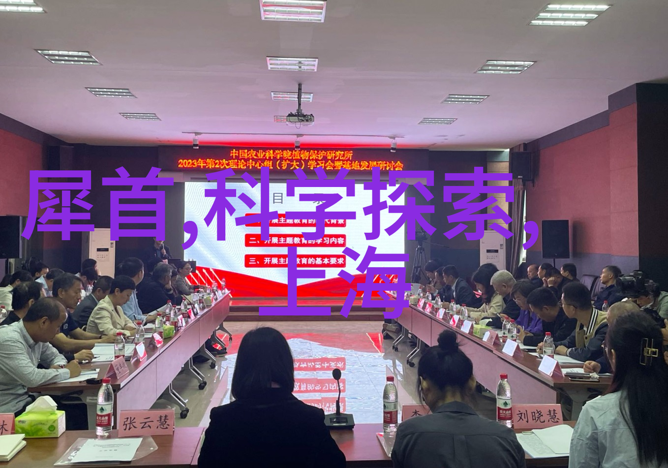 慕容晓晓黄梅戏的灵魂之声陈儒天这位音乐工作者用他的笔触为她织就了一幅生动的音符画卷