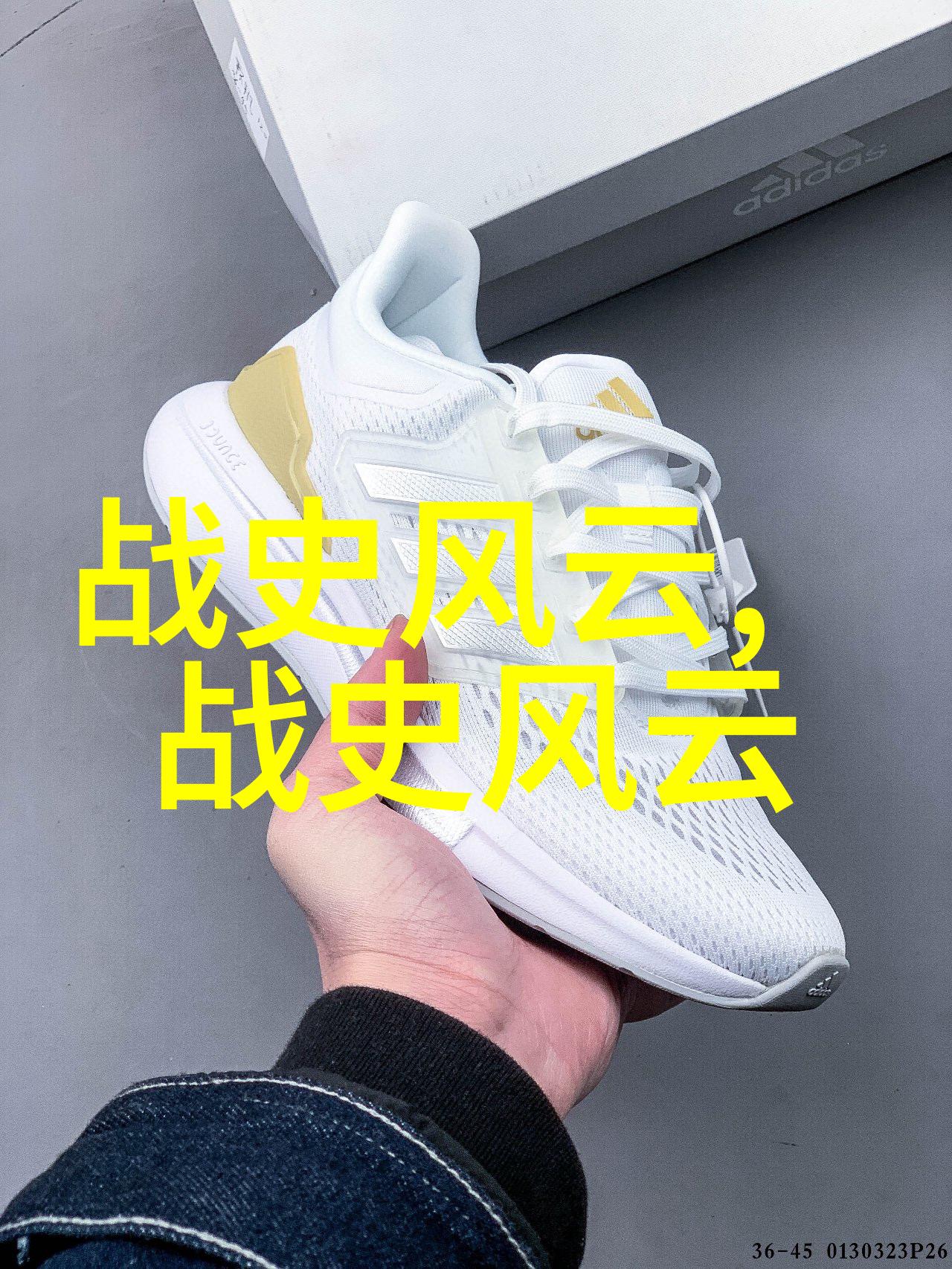 穿越时空揭秘历史巨星艾萨克牛顿的光辉足迹