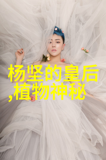 谁推翻了清朝只有龙袍能见证历史的巨变