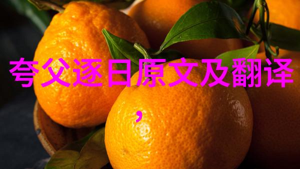 天界之光月下披风的女神