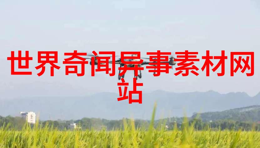 反复探究卓越科研秘书No.7吕萱人文学院的科研工作总结