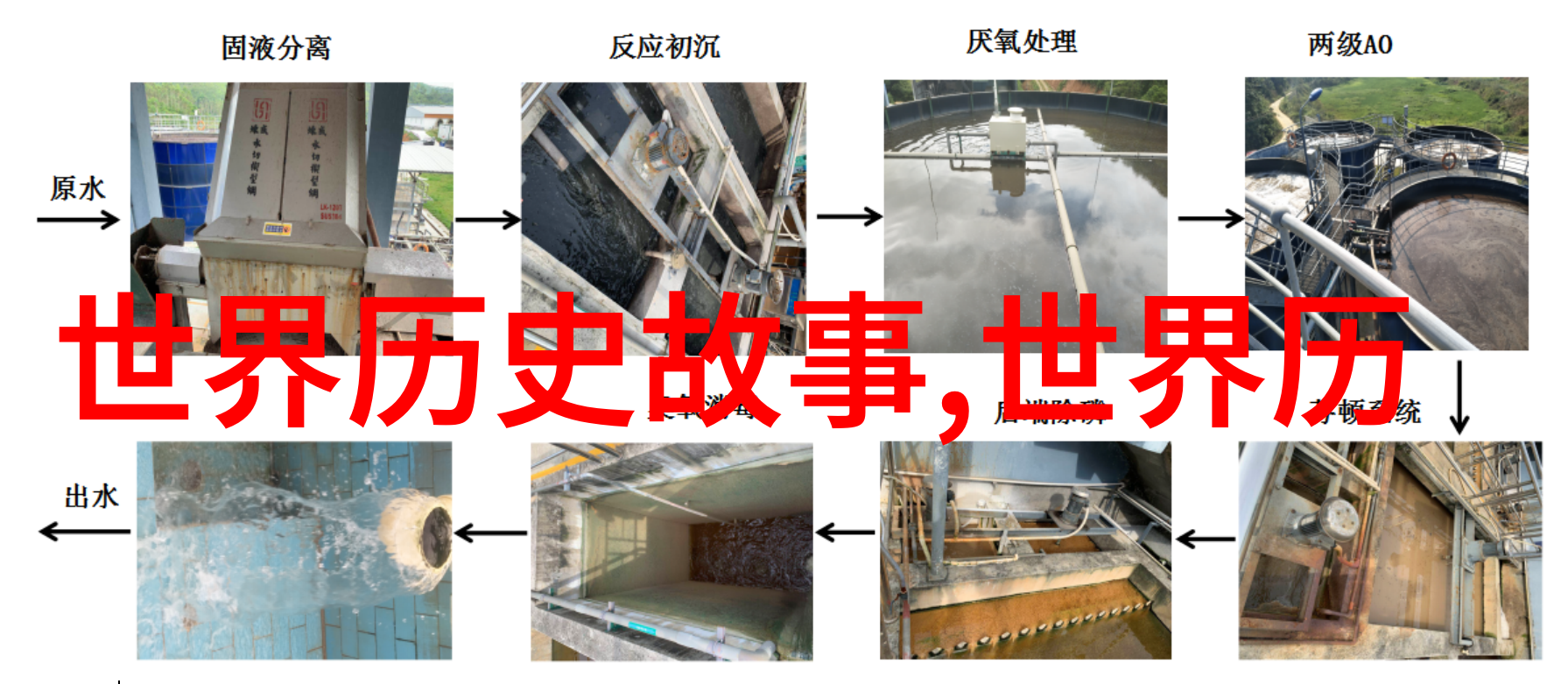 从龙到凤走向人类智慧的成长解读四大神话故事