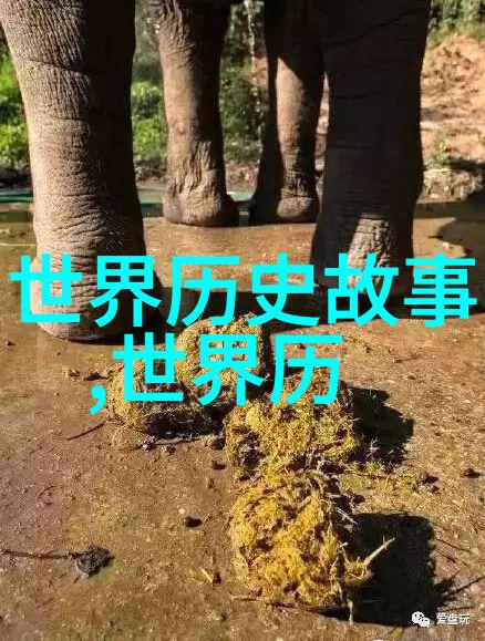 陈涌泉的豫剧之旅老人专属看戏软件逗笑中传承艺术灵魂