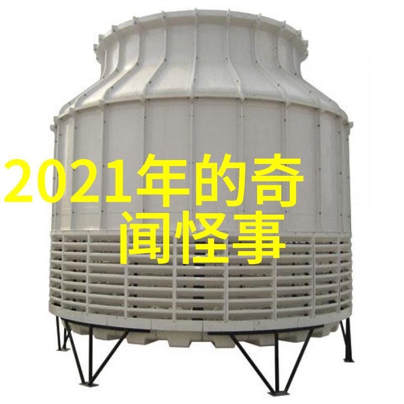 中国新疆XXXXXL17学生跨文化之旅与未来梦想