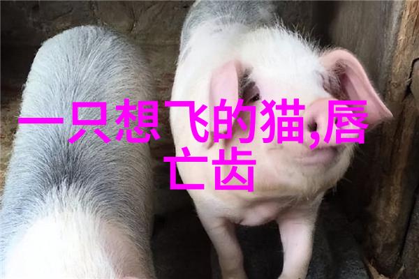 南宋名将孟珙尝后图真迹全图木香我眼中的孟珙从一幅画中感受历史的香味