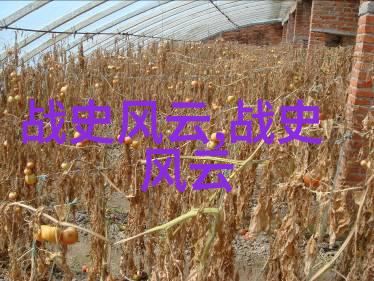 中国历史事件回顾与探索的新时代应用