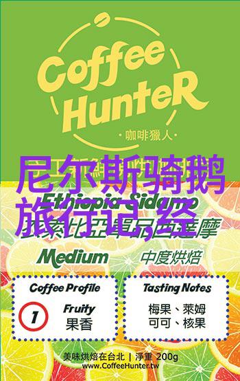 奇闻异事网上共享揭秘全球神秘事件的真相与趣味