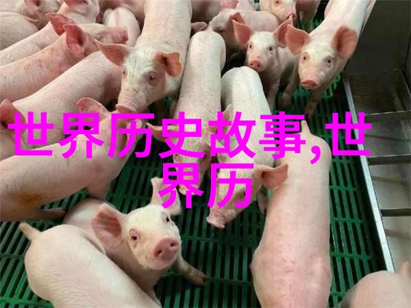 明朝英宗朱祁镇最无耻的-逆袭皇帝明朝英宗朱祁镇的权谋之谜