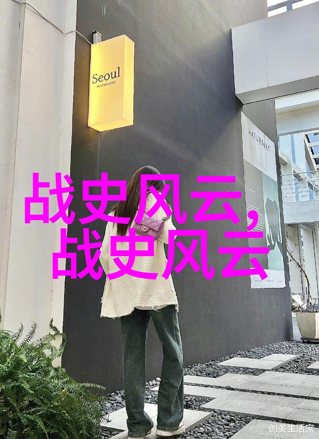 公孙衍与魏国政局的博弈