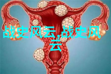中国科技的光辉华为创始人的奋斗史
