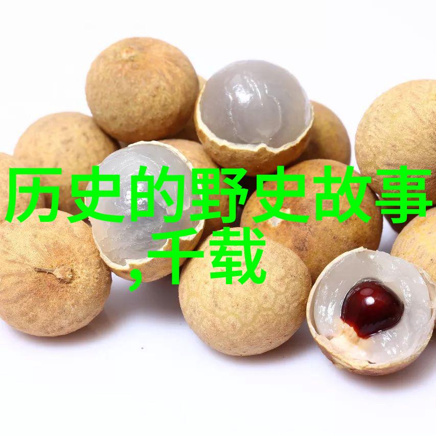 在小说蜗居的温暖怀抱中探索文学世界的隐秘角落