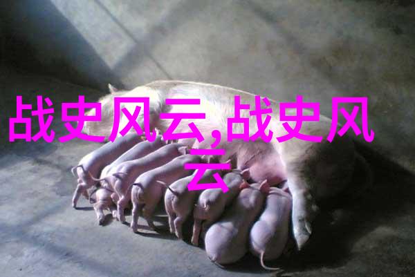 人文历史小故事我亲眼见证的那场古镇婚礼