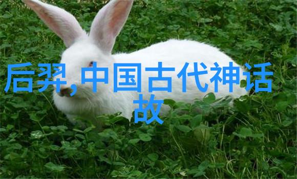 AI人工智能明星造梦网站-虚拟光环AI明星造梦网站的奇迹与挑战