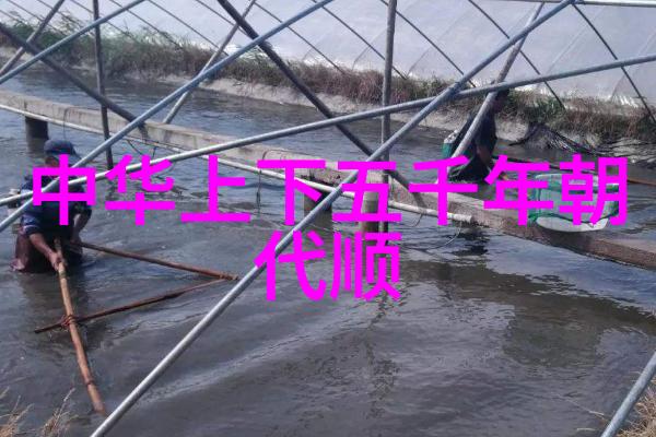 农村深处的神秘传说与未解之谜探寻