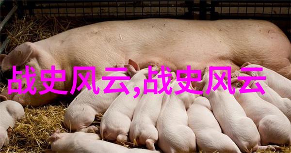 古代爱情悲剧王昭君投笔自尽中国历史上的著名女子