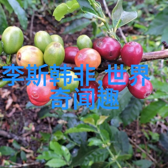 穿越古代的奇幻旅程50个中国神话故事的传说与传奇