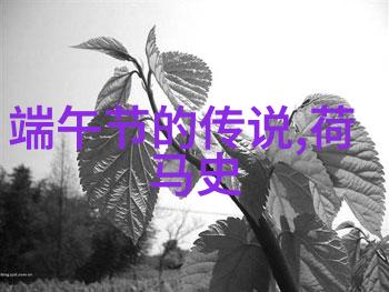 星光下的梦境之旅