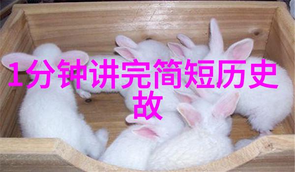 菊内留香金银花露海棠笔趣阁古风仙侠奇缘