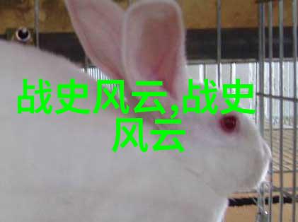 儿童历史故事大全时光中的奇迹与传奇