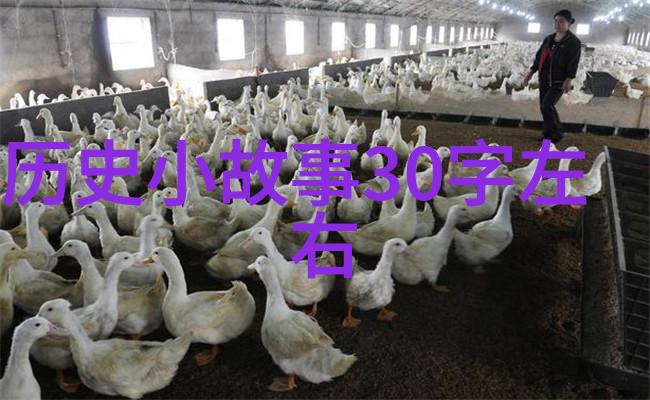 许嵩音乐创作背后的故事从街头艺人到流行歌手