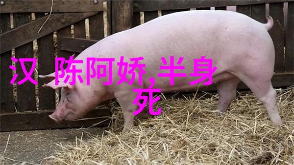 豫剧巨匠杨兰春精选唱段与导演之旅