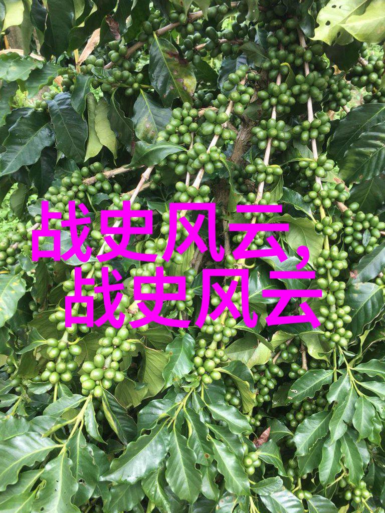 赵兵伟演绎河南豫剧经典包青天