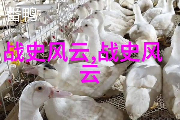 小说中的美女人物塑造艺术探究
