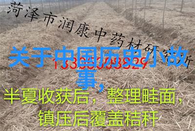 狮子座历史名人唐代宗十七载雄霸九州何其壮哉