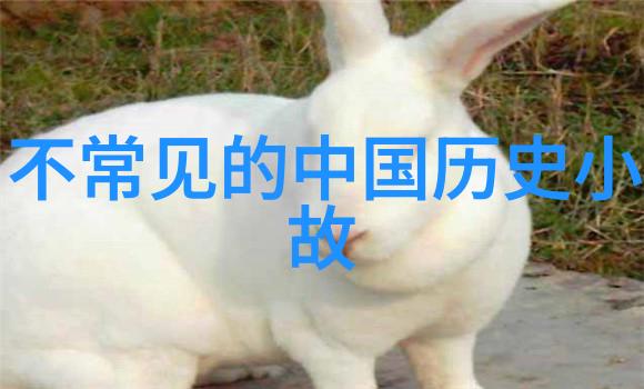 镜头前自娱一场独舞的奇遇