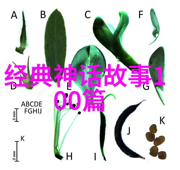 元朝完了是哪个朝代-明朝的开端从元灭亡到明初的国势变迁