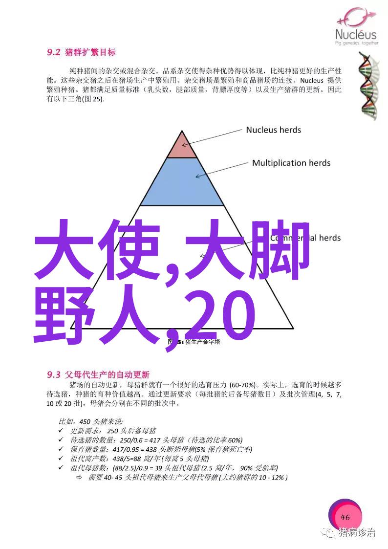 唐隋两朝的历史联系与冲突探究