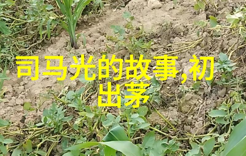 奇闻趣事大全集怪谈录与未来预言的交响曲