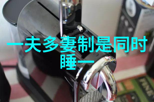 卓越领导者乔治华盛顿美国独立战争中的英雄形象探究