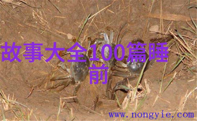 探寻燕易王的个人品质仁慈勇敢还是冷酷无情