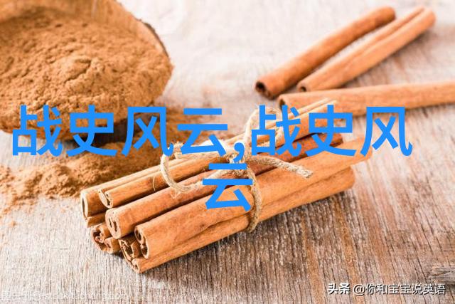 明末清初的遗民抵抗与小朝廷建立